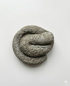 Send Someone Poop Anonymously (Or Not) – Concrete Prank Gift